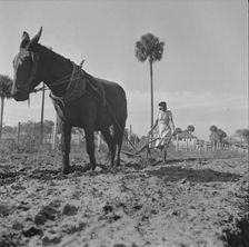 Possibly: Bethune-Cookman College, Daytona Beach, Florida, 1943. Creator: Gordon Parks