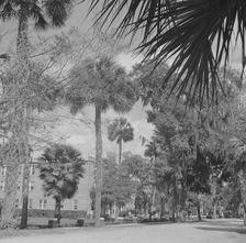 Possibly: Bethune-Cookman College, Daytona Beach, Florida, 1943. Creator: Gordon Parks