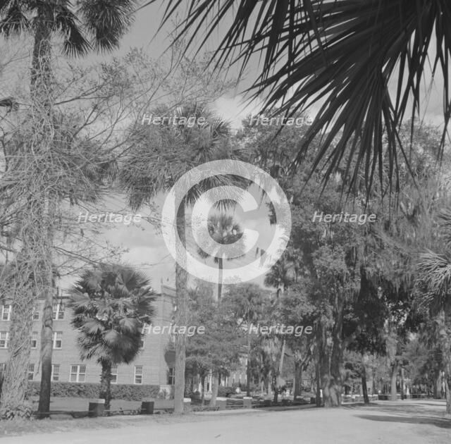 Possibly: Bethune-Cookman College, Daytona Beach, Florida, 1943. Creator: Gordon Parks.