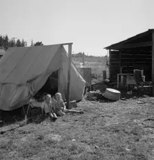 Possibly: Bean pickers camp in grower's yard, near West Stayton, Marion County, Oregon, 1939. Creator: Dorothea Lange