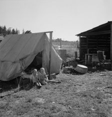 Possibly: Bean pickers camp in grower's yard, near West Stayton, Marion County, Oregon, 1939. Creator: Dorothea Lange