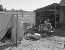 Possibly: Bean pickers camp in grower's yard..., near West Stayton, Marion County, Oregon, 1939. Creator: Dorothea Lange