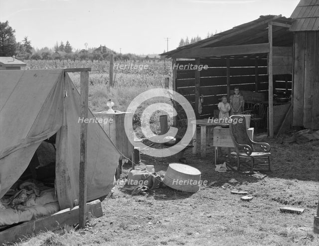 Possibly: Bean pickers camp in grower's yard..., near West Stayton, Marion County, Oregon, 1939. Creator: Dorothea Lange.