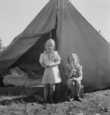 Possibly: Bean pickers camp in grower's yard, near West Stayton, Marion County, Oregon, 1939. Creator: Dorothea Lange