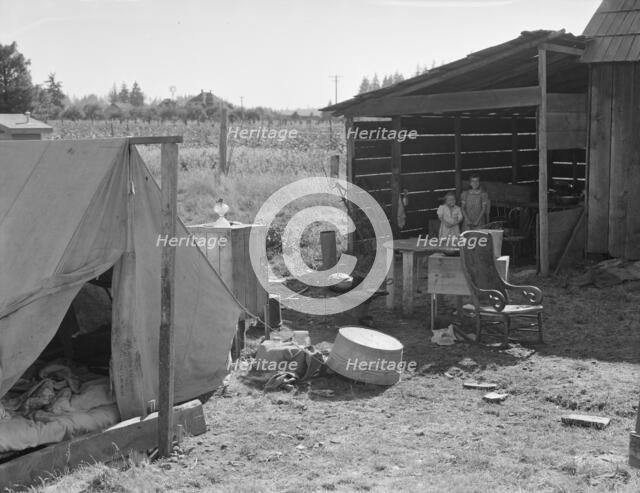 Possibly: Bean pickers camp in grower's yard..., near West Stayton, Marion County, Oregon, 1939. Creator: Dorothea Lange.