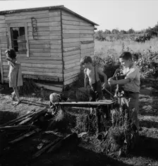 Possibly: Bean pickers children in camp at end..., near West Stayton, Marion County, Oregon, 1939. Creator: Dorothea Lange