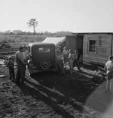 Possibly: Bean pickers children in camp at end..., near West Stayton, Marion County, Oregon, 1939. Creator: Dorothea Lange