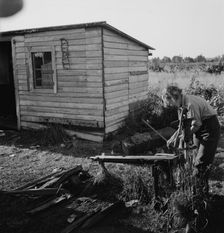 Possibly: Bean pickers children in camp at end..., near West Stayton, Marion County, Oregon, 1939. Creator: Dorothea Lange