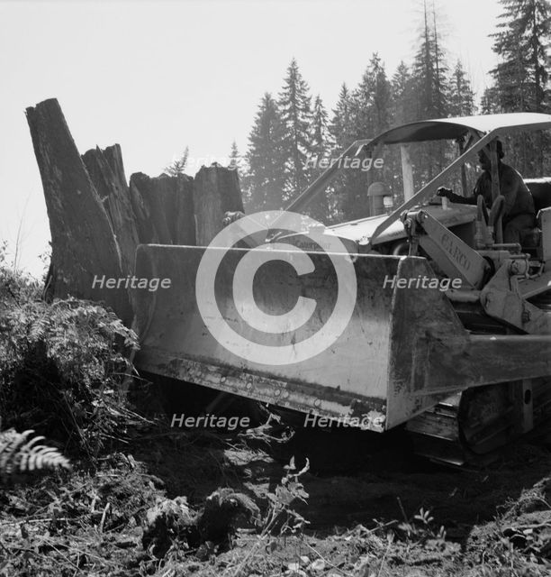 Possibly: Bulldozer...Nieman farm, near Vader, Lewis County, Western Washington, 1939. Creator: Dorothea Lange.