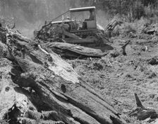 Possibly: Bulldozer equipped with grader..., near Vader, Lewis County, Western Washington, 1939. Creator: Dorothea Lange