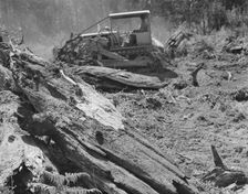 Possibly: Bulldozer equipped with grader..., near Vader, Lewis County, Western Washington, 1939. Creator: Dorothea Lange