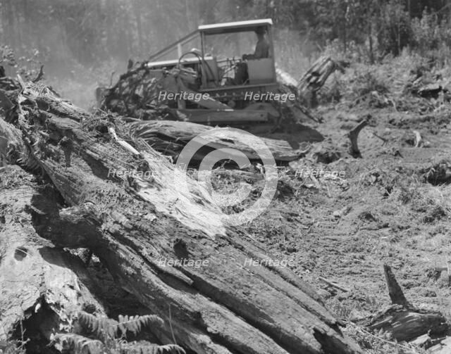 Possibly: Bulldozer equipped with grader..., near Vader, Lewis County, Western Washington, 1939. Creator: Dorothea Lange.