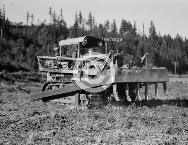 Possibly: Bulldozer raises and pushes stump on cut-over farm, Lewis County, Western Washington, 1939 Creator: Dorothea Lange.