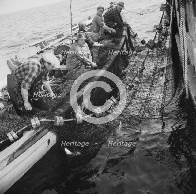 Possibly: Gloucester fishermen pulling in their nets to bring..., Gloucester, Massachusetts, 1943. Creator: Gordon Parks.