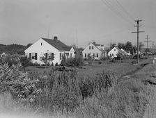 Possibly: Down one street on Longview homestead project, Longview, Cowlitz County, Washington, 1939. Creator: Dorothea Lange