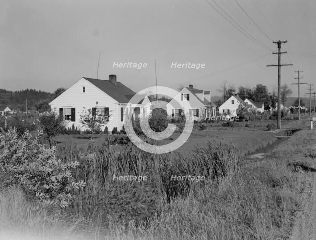 Possibly: Down one street on Longview homestead project, Longview, Cowlitz County, Washington, 1939. Creator: Dorothea Lange.