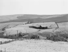 Possibly: Desert stock farm, south central Washington, in region...land has been overgrazed, 1939. Creator: Dorothea Lange