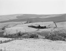 Possibly: Desert stock farm, south central Washington, in region...land has been overgrazed, 1939. Creator: Dorothea Lange