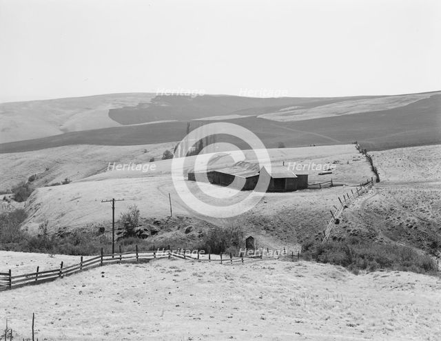 Possibly: Desert stock farm, south central Washington, in region...land has been overgrazed, 1939. Creator: Dorothea Lange.