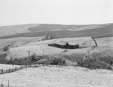 Possibly: Desert stock farm, south central Washington, in region...land has been overgrazed, 1939. Creator: Dorothea Lange