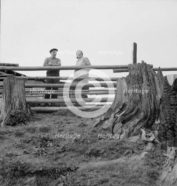 Possibly: Farm family in the cut-over land, Priest River Valley, Bonner County, Idaho, 1939. Creator: Dorothea Lange.