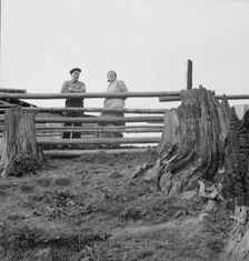 Possibly: Farm family in the cut-over land, Priest River Valley, Bonner County, Idaho, 1939. Creator: Dorothea Lange