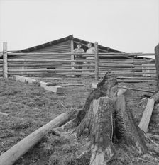 Possibly: Farm family in the cut-over land, Priest River Valley, Bonner County, Idaho, 1939. Creator: Dorothea Lange