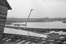 Possibly: Farmyard covered with flood waters near Ridgeley, Tennessee, 1937. Creator: Walker Evans