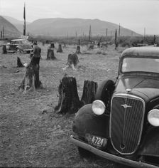 Possibly: Fenced pasture on cut-over farm, Priest River Valley, Bonner County, Idaho, 1939. Creator: Dorothea Lange
