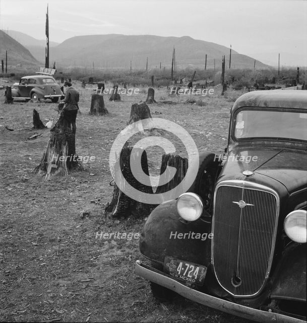 Possibly: Fenced pasture on cut-over farm, Priest River Valley, Bonner County, Idaho, 1939. Creator: Dorothea Lange.