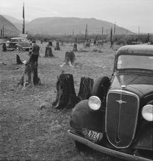 Possibly: Fenced pasture on cut-over farm, Priest River Valley, Bonner County, Idaho, 1939. Creator: Dorothea Lange