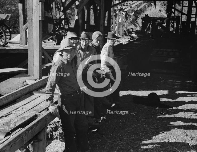 Possibly: Five Idaho farmers, members of Ola self-help sawmill co-op..., Gem County, Idaho, 1939. Creator: Dorothea Lange.