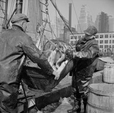 Possibly: Filling a barrel with codfish at the Fulton fish market, New York, 1943. Creator: Gordon Parks