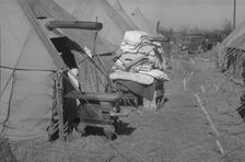 Possibly: Flood refugee encampment at Forrest City, Arkansas, ca. 1937. Creator: Walker Evans