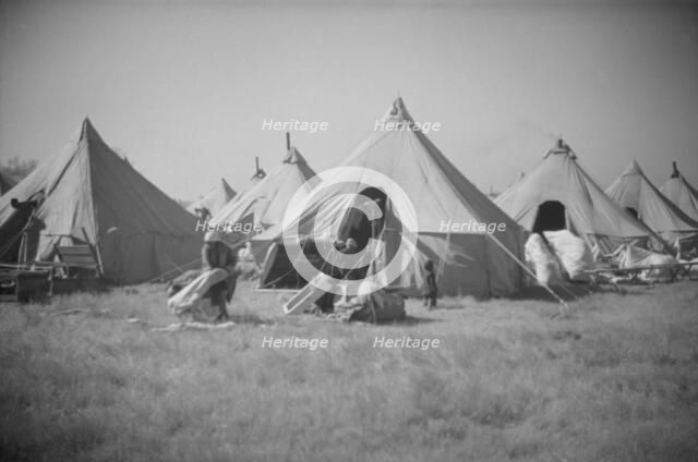 Possibly: Flood refugee encampment at Forrest City, Arkansas, ca. 1937. Creator: Walker Evans.