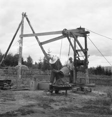 Possibly: Kytta family, FSA borrowers on non-commercial experiment, Michigan Hill, Washington, 1939. Creator: Dorothea Lange