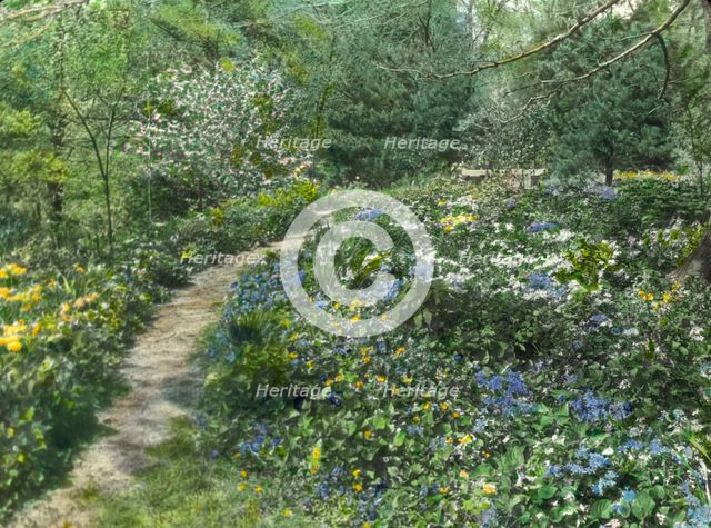 Possibly Herbert Livingston Satterlee Garden, Great Head, Bar Harbor, Maine, 1924. Creator: Frances Benjamin Johnston.