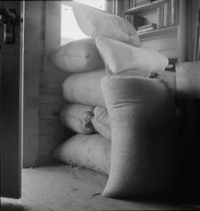 Possibly: Interior of farmer's two-room log home, FSA borrower, Boundary County, Idaho, 1939. Creator: Dorothea Lange