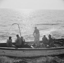 Possibly: On board the fishing boat Alden, out of Glocester, Massachusetts, 1943. Creator: Gordon Parks