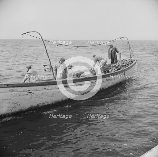 Possibly: On board the fishing boat Alden, out of Gloucester, Massachusetts, 1943. Creator: Gordon Parks.