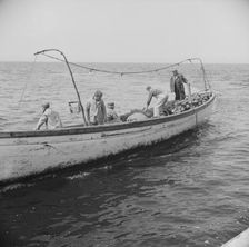 Possibly: On board the fishing boat Alden, out of Gloucester, Massachusetts, 1943. Creator: Gordon Parks