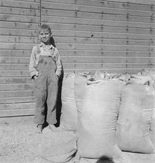 Possibly: One of the younger Cleaver boys on new farm in Malheur County, Oregon, 1939. Creator: Dorothea Lange
