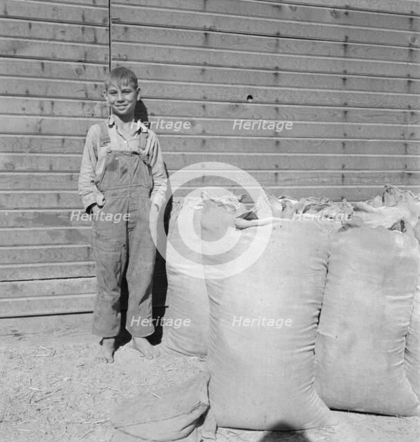 Possibly: One of the younger Cleaver boys on new farm in Malheur County, Oregon, 1939. Creator: Dorothea Lange.