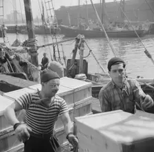 Possibly: Loaders placing fish that has been taken from boats, boxed, and iced..., New York, 1943. Creator: Gordon Parks