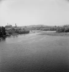 Possibly: Log rafts on the Williamette River between Salem and Independence, Oregon, 1939. Creator: Dorothea Lange
