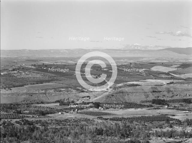 Possibly: Looking down on part of the Valley, approximately six miles from Yakima, Washington, 1939. Creator: Dorothea Lange.