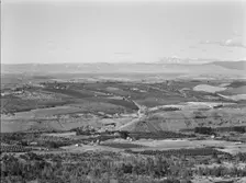 Possibly: Looking down on part of the Valley, approximately six miles from Yakima, Washington, 1939. Creator: Dorothea Lange