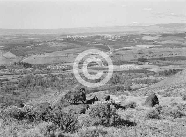 Possibly: Looking down on part of the Valley, approximately six miles from Yakima, Washington, 1939. Creator: Dorothea Lange.