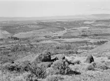 Possibly: Looking down on part of the Valley, approximately six miles from Yakima, Washington, 1939. Creator: Dorothea Lange