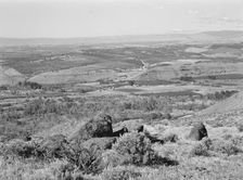 Possibly: Looking down on part of the Valley, approximately six miles from Yakima, Washington, 1939. Creator: Dorothea Lange